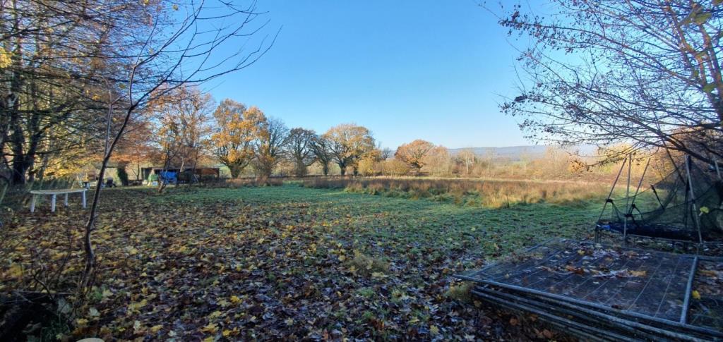 Lot: 44477 - LAND WITH STABLES AND DERELICT BARN - Field